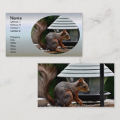 Eekhoorn in de Vogelfeeder Visitekaartje (Voorkant / Achterkant)