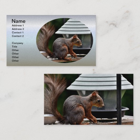 Eekhoorn in de Vogelfeeder Visitekaartje (Voorkant / Achterkant)