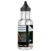 Eekhoorn in de Vogelfeeder Waterfles (Rechts)