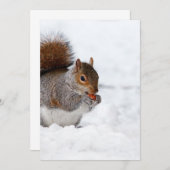 Eekhoorn in de winter (Voorkant / Achterkant)