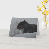 Eekhoorn in de winter kaart (Gele Bloem)