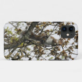 Eekhoorn in een boom Case-Mate iPhone case (Achterkant (horizontaal))