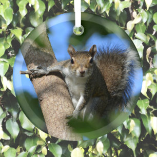 Eekhoorn in een boom Fotografische Wildlife Glas Ornament