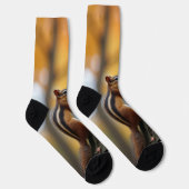 Eekhoorn in een boom sokken (Rechts)
