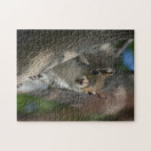 Eekhoorn in een boom Wilde Fotografie Legpuzzel (Horizontaal)