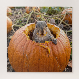 Eekhoorn in een herfstpompoen legpuzzel