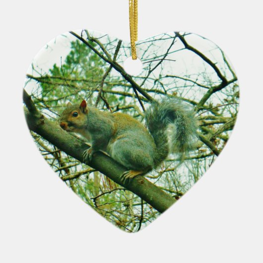 Eekhoorn in een lichtblauwe lijst keramisch ornament (Voorkant)