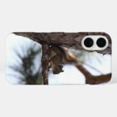 Eekhoorn in een pijnboom Case-Mate iPhone case (Achterkant (horizontaal))