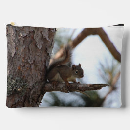 Eekhoorn in een pijnboom etui