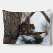 Eekhoorn in een pijnboom etui (Achterkant)