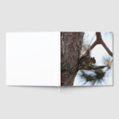 Eekhoorn in een pijnboom gastenboek (Volledig)