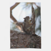 Eekhoorn in een pijnboom handdoek (Verticaal)