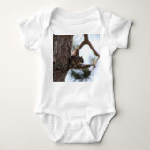 Eekhoorn in een pijnboom romper (Voorkant)