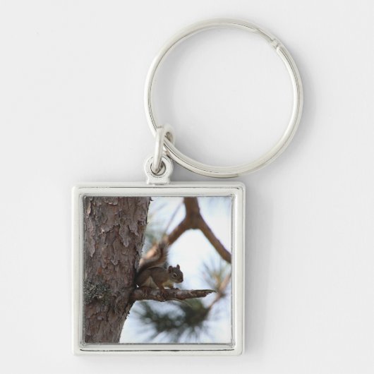 Eekhoorn in een pijnboom sleutelhanger (Voorkant)