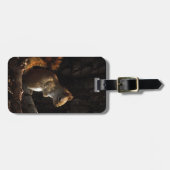 Eekhoorn in een pleister van zonlicht bagagelabel (Voorkant horizontaal)