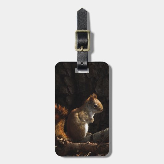 Eekhoorn in een pleister van zonlicht bagagelabel (Voorkant verticaal)