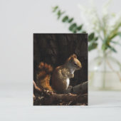 Eekhoorn in een pleister van zonlicht briefkaart (Staand voorkant)