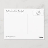 Eekhoorn in een pleister van zonlicht briefkaart (Achterkant)