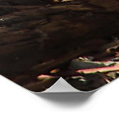 Eekhoorn in een pleister van zonlicht poster (Hoek)