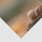 Eekhoorn in gebreid Pet met moer Tissuepapier (Detail)