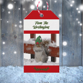Eekhoorn in groene hoed besneeuwd rood en wit cadeaulabel