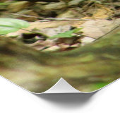 Eekhoorn in het bos perfect poster (Hoek)