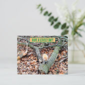 Eekhoorn in het bos wenskaart briefkaart (Staand voorkant)