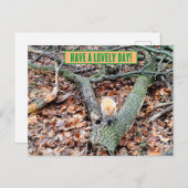 Eekhoorn in het bos wenskaart briefkaart (Voorkant / Achterkant)