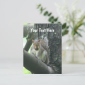 Eekhoorn in het Klantgerichte Briefkaart van de (Staand voorkant)