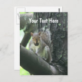 Eekhoorn in het Klantgerichte Briefkaart van de (Voorkant / Achterkant)