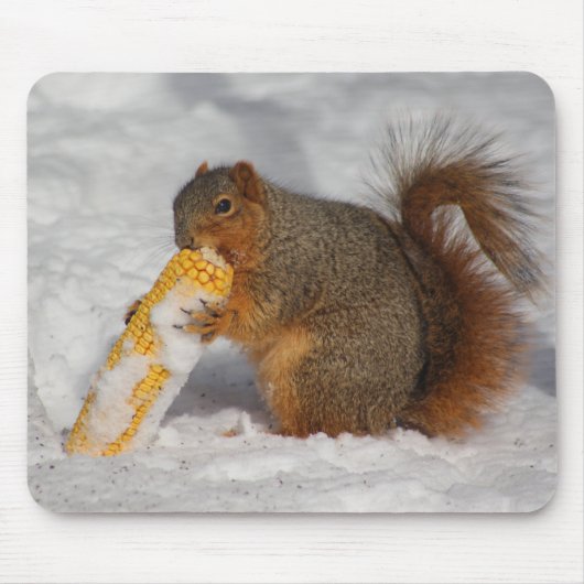 Eekhoorn in het sneeuwmuisblok muismat (Voorkant)