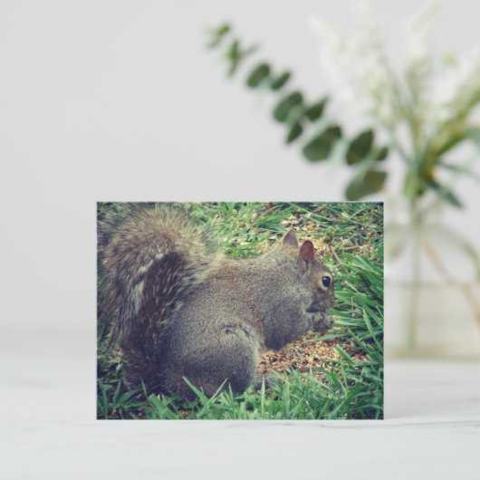 Eekhoorn in het vogelzaad briefkaart (Staand voorkant)
