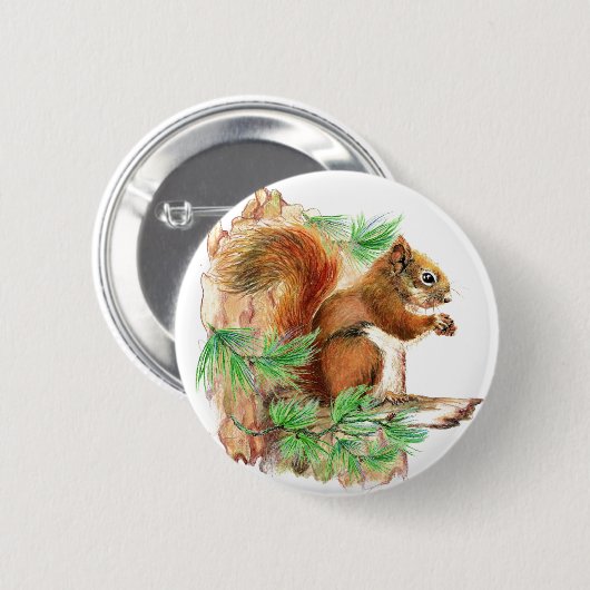 eekhoorn in het wild levende Button (Voorkant /achterkant)