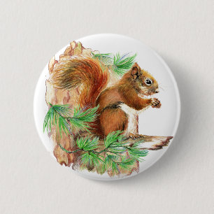 eekhoorn in het wild levende Button