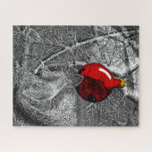 Eekhoorn in kerstboom 520-delige puzzel (Horizontaal)