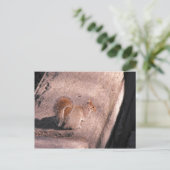 Eekhoorn in NYC Briefkaart (Staand voorkant)