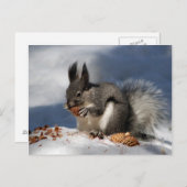 Eekhoorn in sneeuw briefkaart (Voorkant / Achterkant)