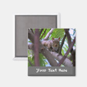 Eekhoorn in Tree Fridge Magnet (Voorkant / Achterkant)