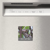 Eekhoorn in Tree Fridge Magnet (Insitu (Vaatwasser))