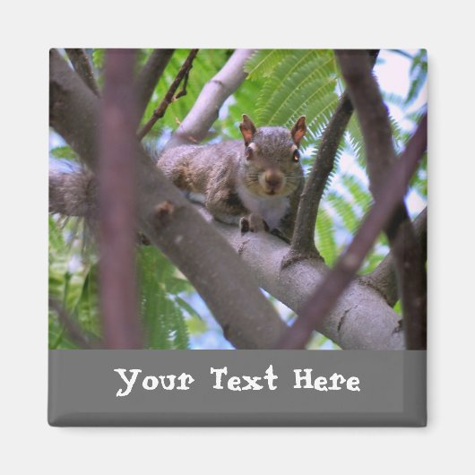 Eekhoorn in Tree Fridge Magnet (Voorkant)