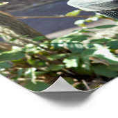 Eekhoorn in vuilnisbak poster (Hoek)