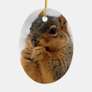 Eekhoorn in Wonder Keramisch Ornament