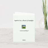 Eekhoorn in zonlicht Dank u Bedankkaart (Achterkant)