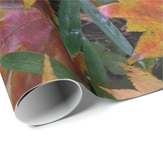 Eekhoorn Inpakpapier (Rol Hoek)