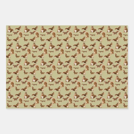 eekhoorn inpakpapier vel (Voorkant 3)