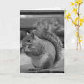 Eekhoorn Kaart (Gele Bloem)