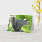eekhoorn kaart (Gele Bloem)