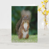 eekhoorn kaart (Gele Bloem)