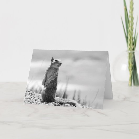 eekhoorn kaart (Voorkant)