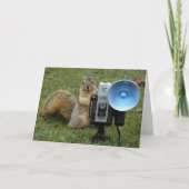 eekhoorn kaart grote 100 (Voorkant)